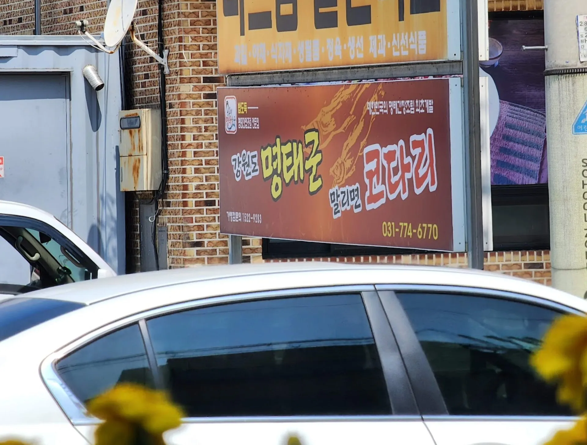 랜도너스 PT-73 천천히 가는 속초 사진 6
