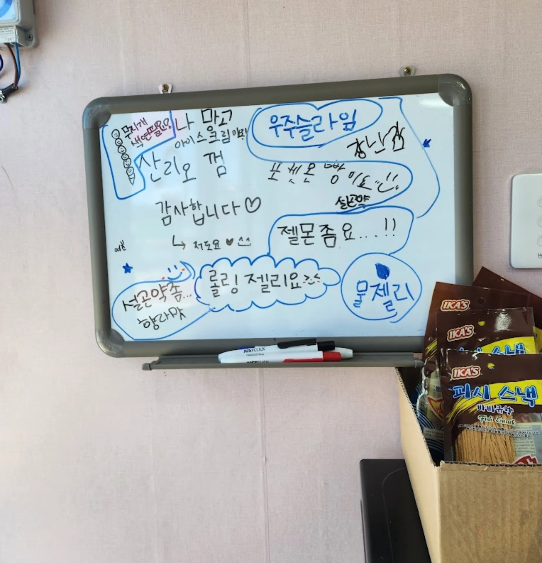 랜도너스 PT-73 천천히 가는 속초 사진 15