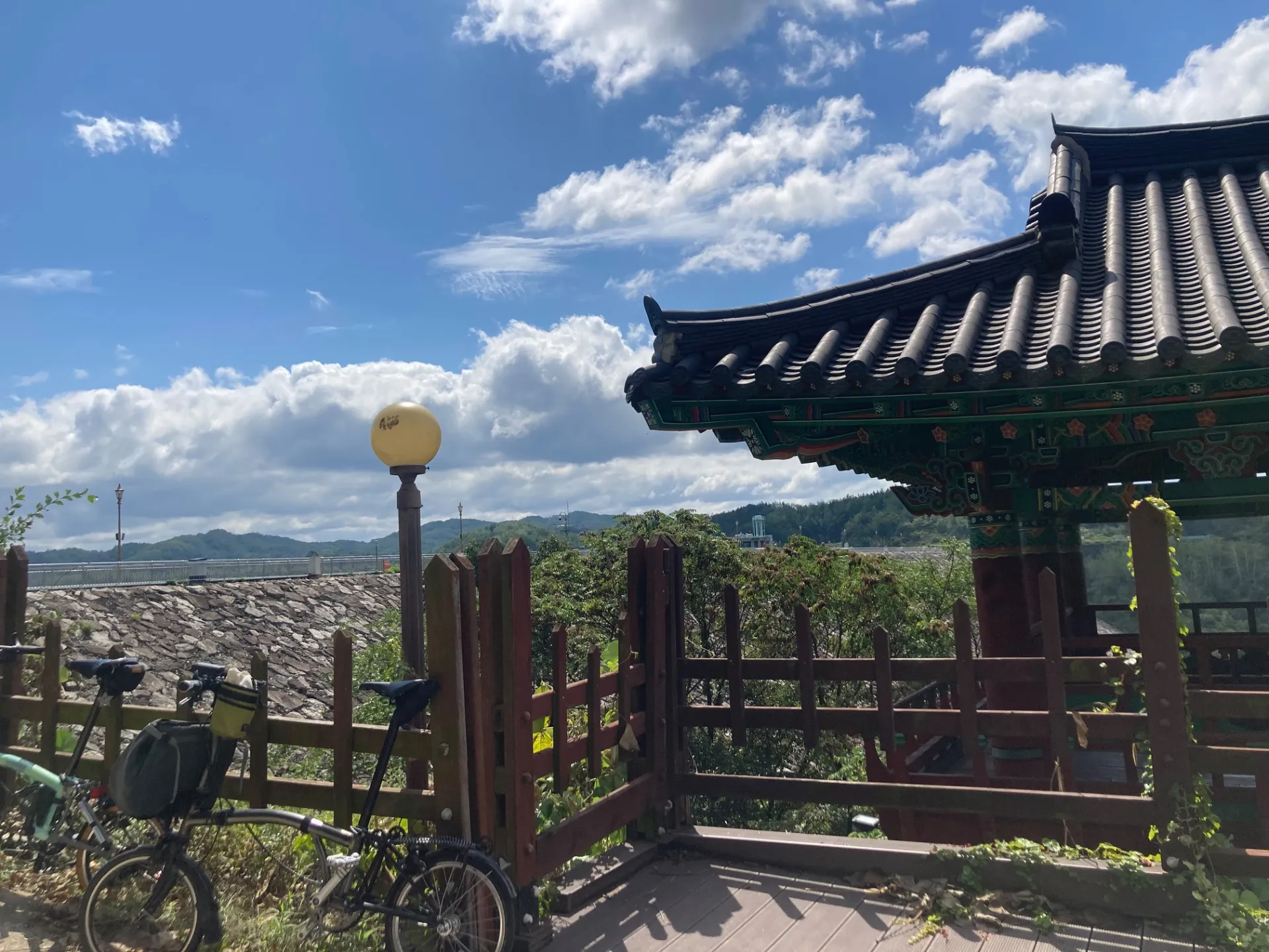 안동호+용계리 은행나무 사진 3