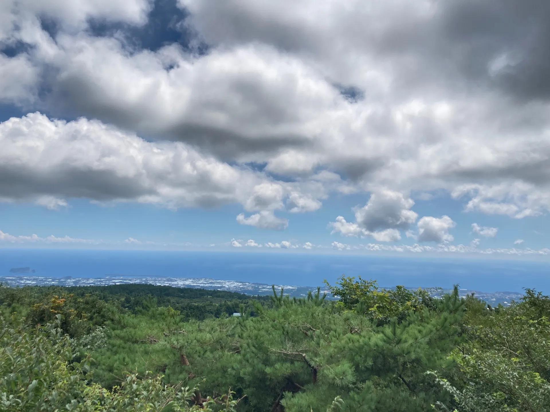 한라산 한바퀴 사진 4