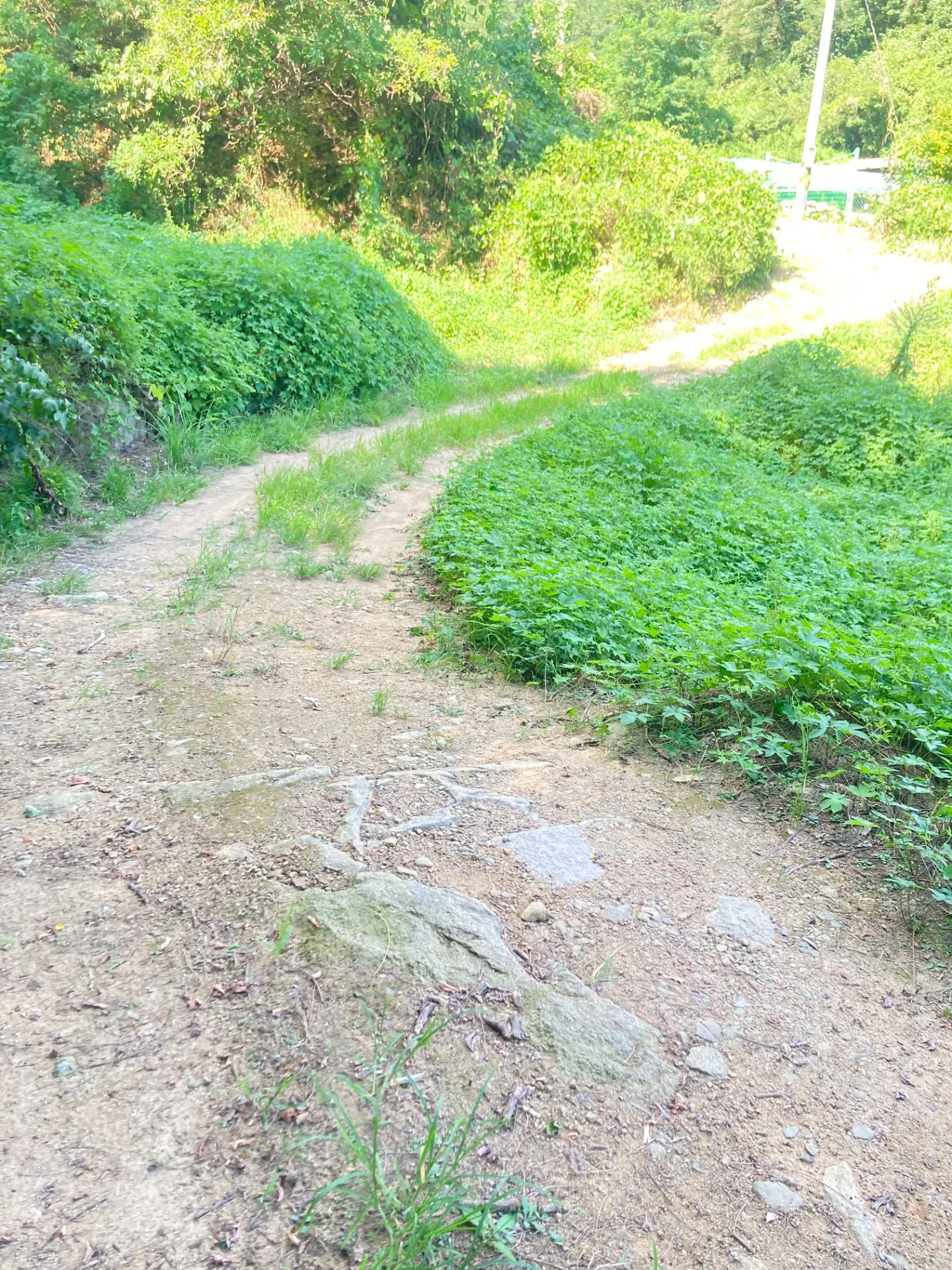 대구~구미 사진 11