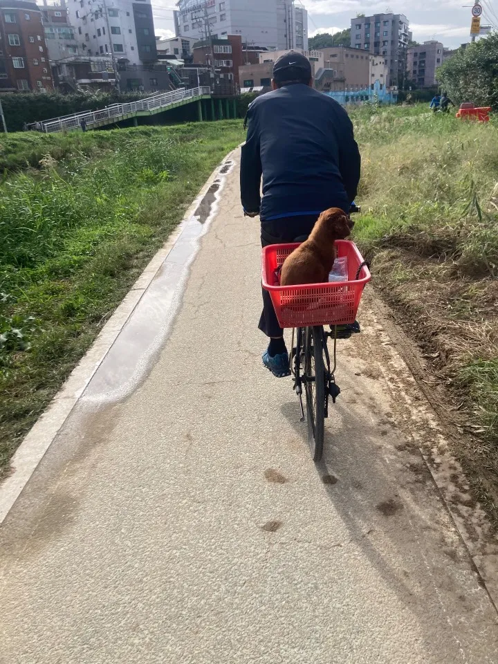 남와북 사진 4