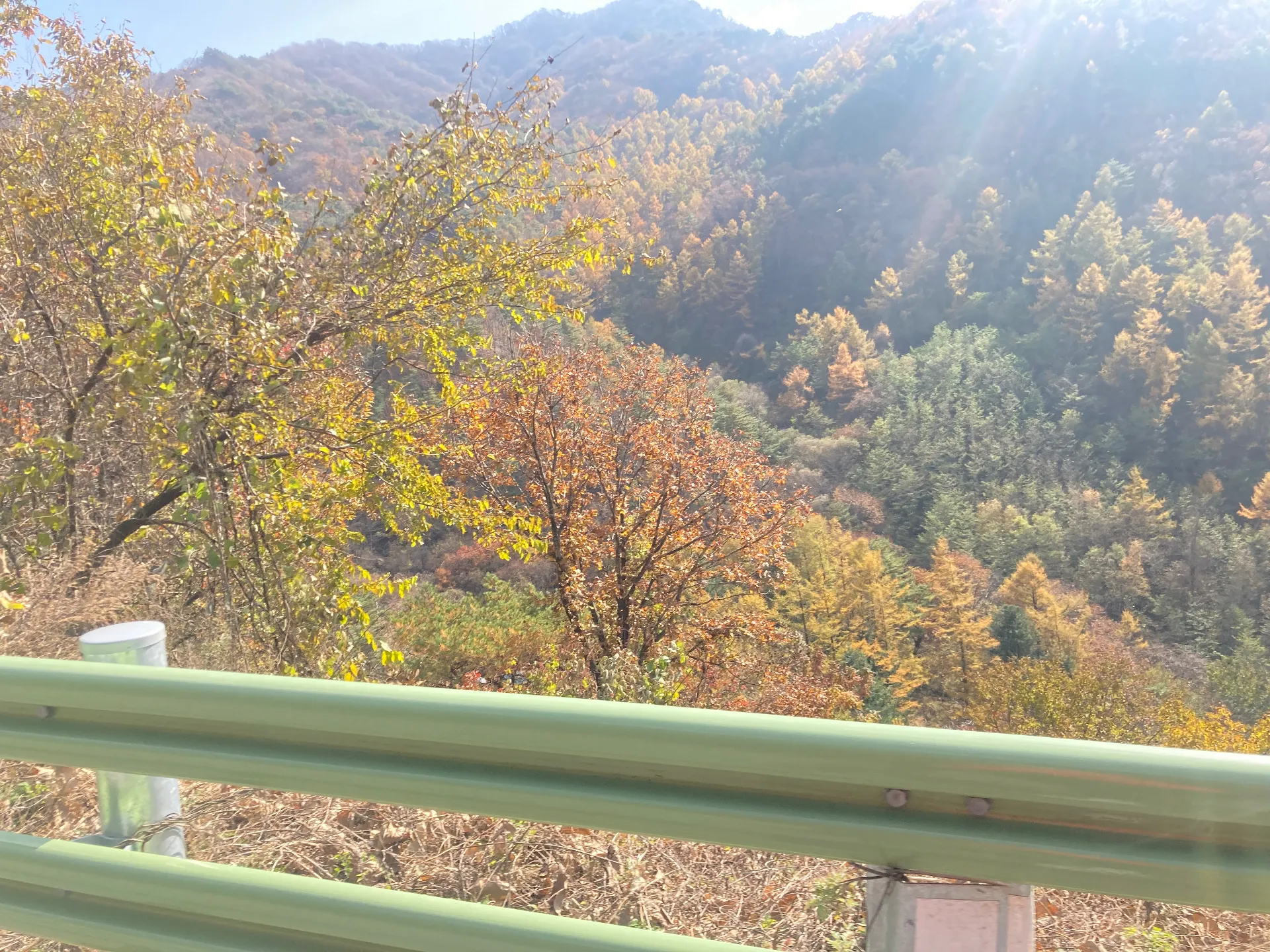 소백산(단양-보발재-베틀재-밤재-고치령)
