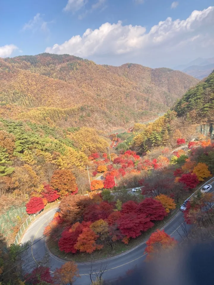 소백산(단양-보발재-베틀재-밤재-고치령) 사진 3