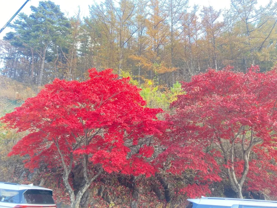 소백산(단양-보발재-베틀재-밤재-고치령) 사진 2