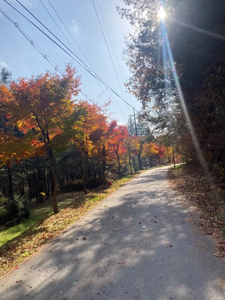 소백산(단양-보발재-베틀재-밤재-고치령) 사진 7