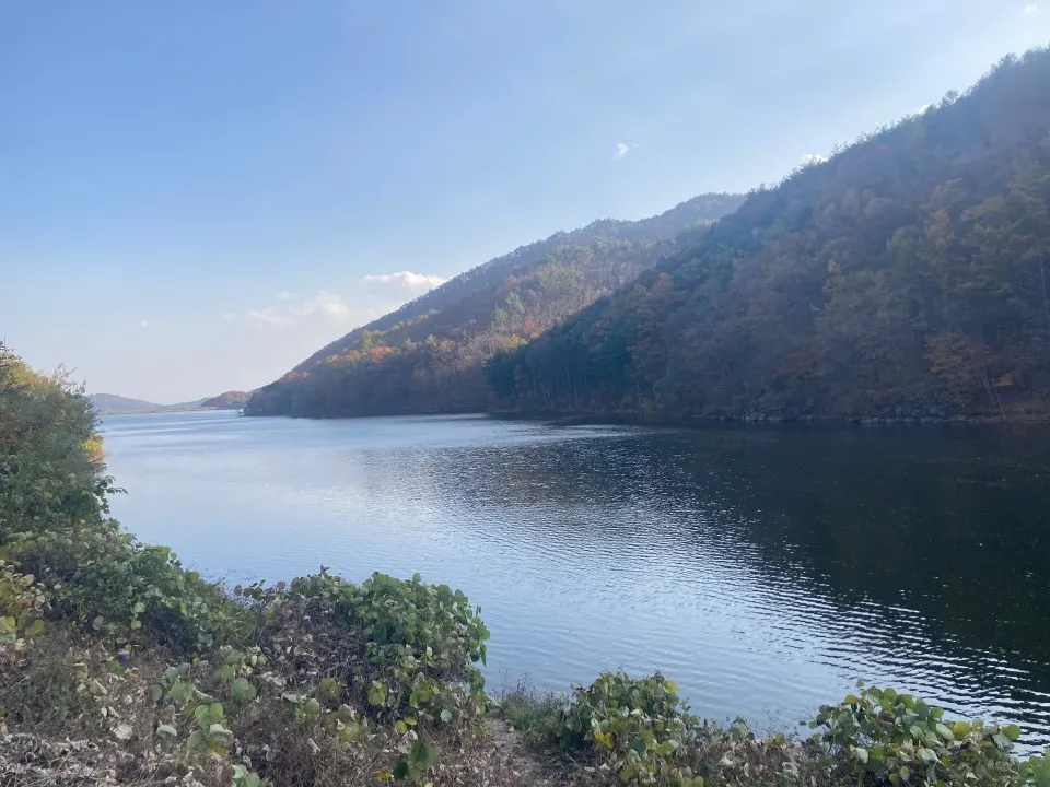 소백산(단양-보발재-베틀재-밤재-고치령) 사진 9
