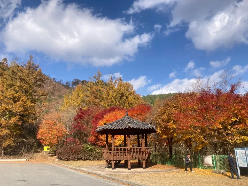 소백산(단양-보발재-베틀재-밤재-고치령) 사진 6