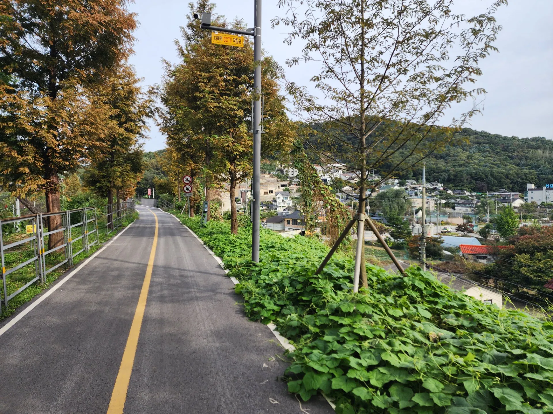국토종주 1일차 - 안양 ~ 서울 ~ 여주 사진 7