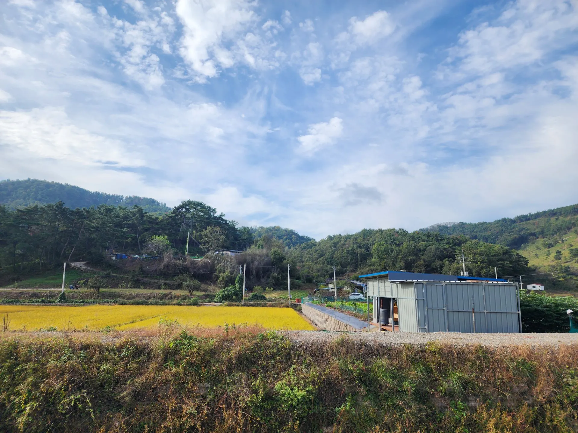 국토종주 5일차 - 합천 ~ 부산 사진 7