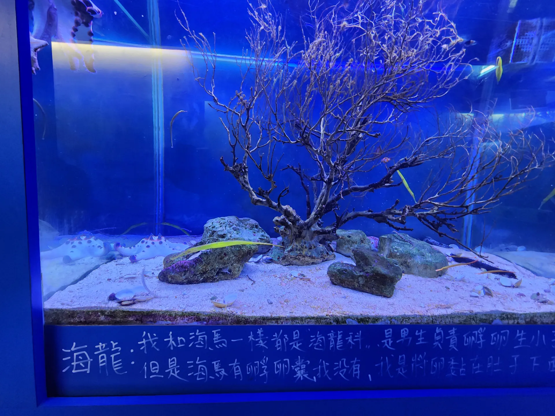 가오슝 청칭호, 시립역사박물관 자전거 투어 사진 18