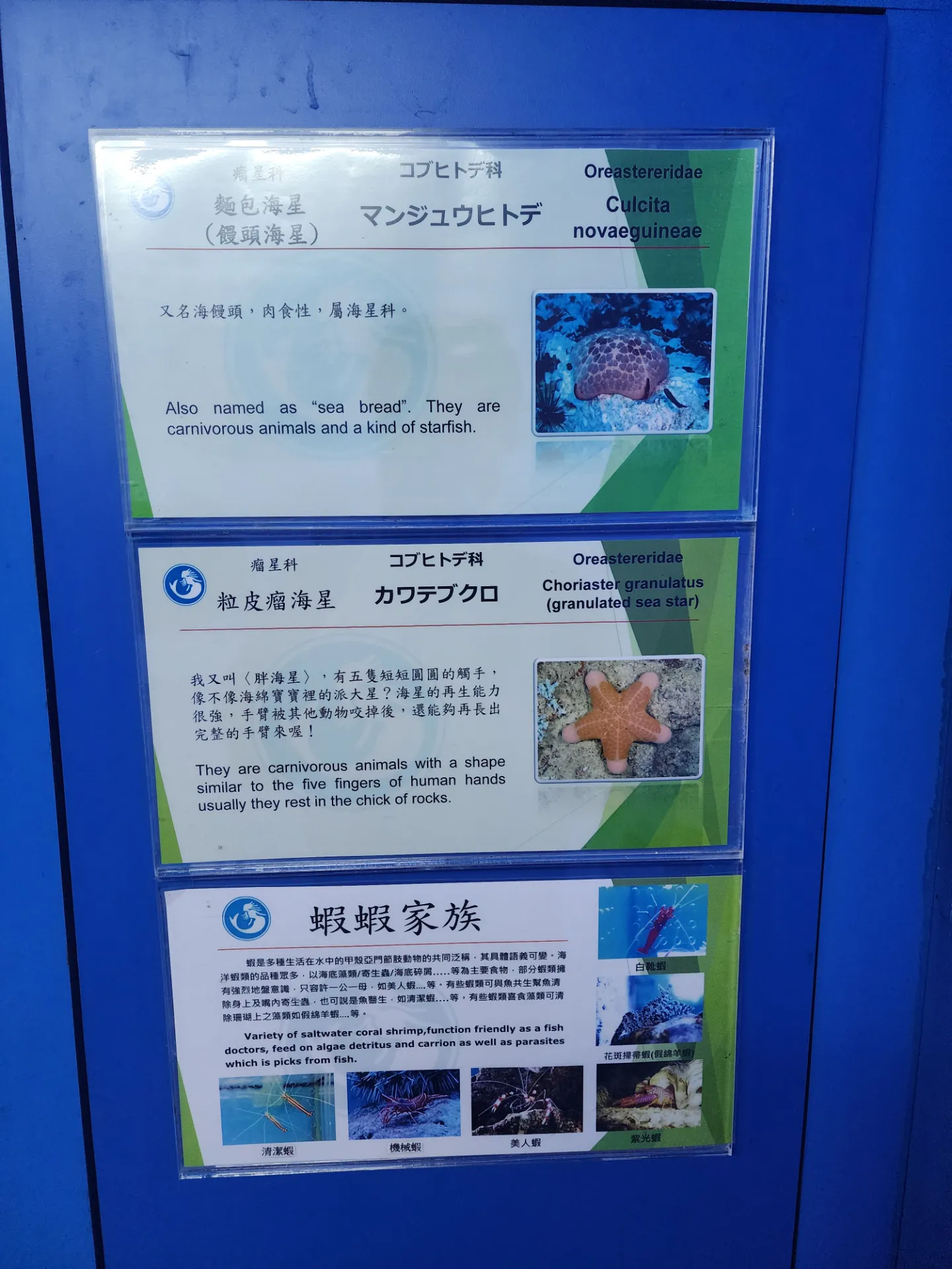 가오슝 청칭호, 시립역사박물관 자전거 투어 사진 27