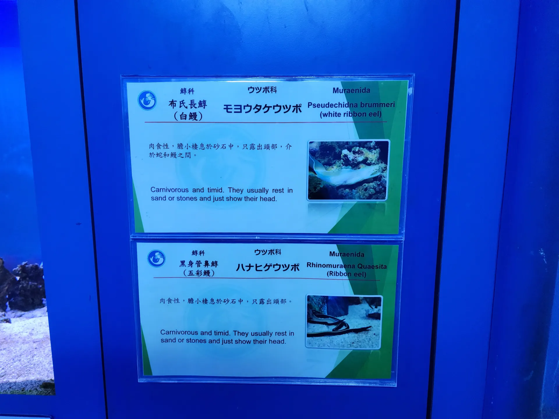 가오슝 청칭호, 시립역사박물관 자전거 투어 사진 33