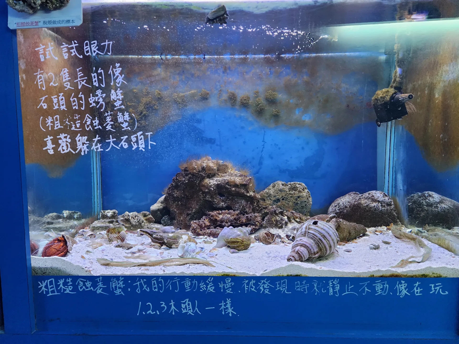 가오슝 청칭호, 시립역사박물관 자전거 투어 사진 34