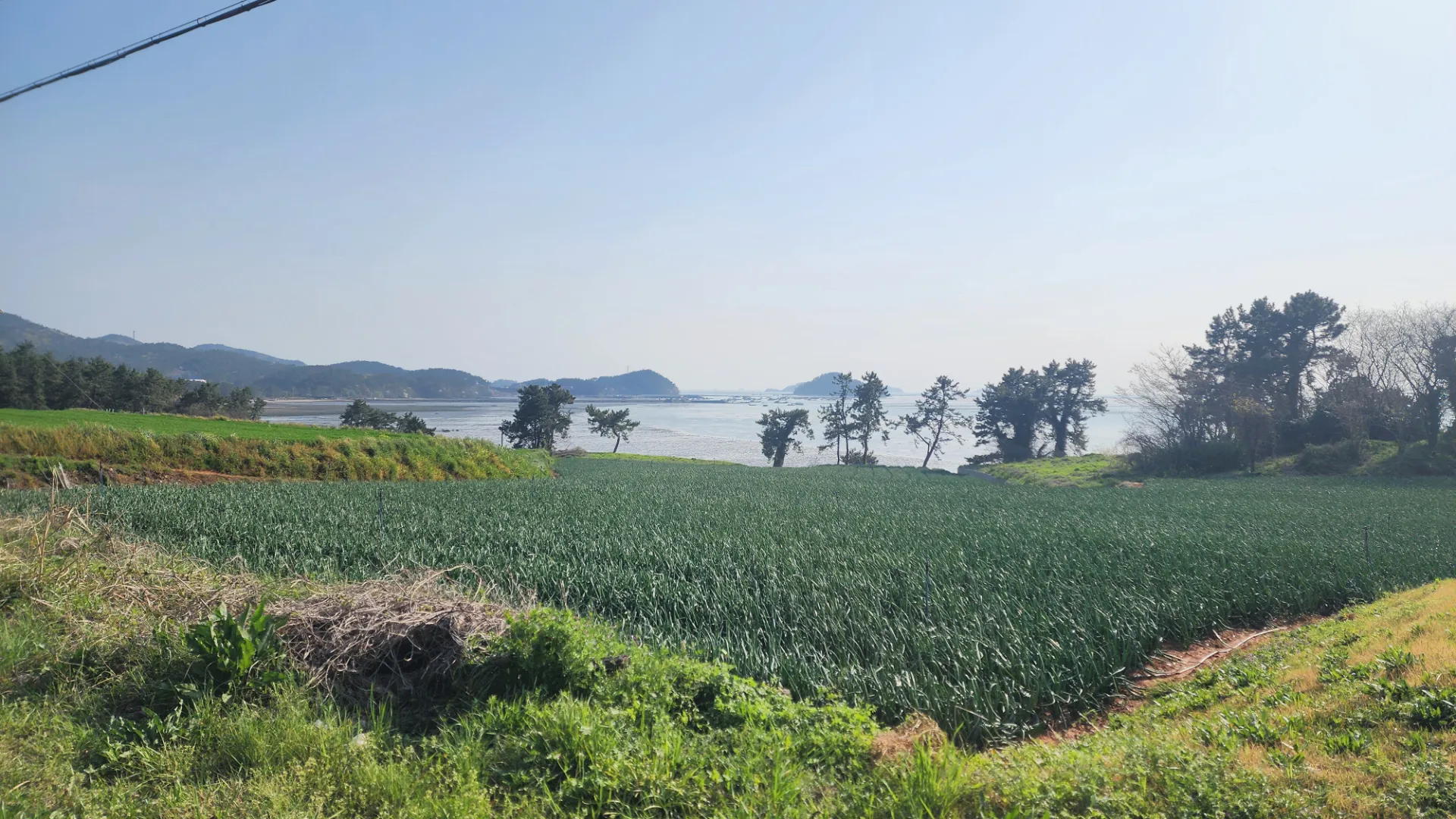 남도 자전거 여행 | 땅끝마을, 보길도, 세연정 사진 19