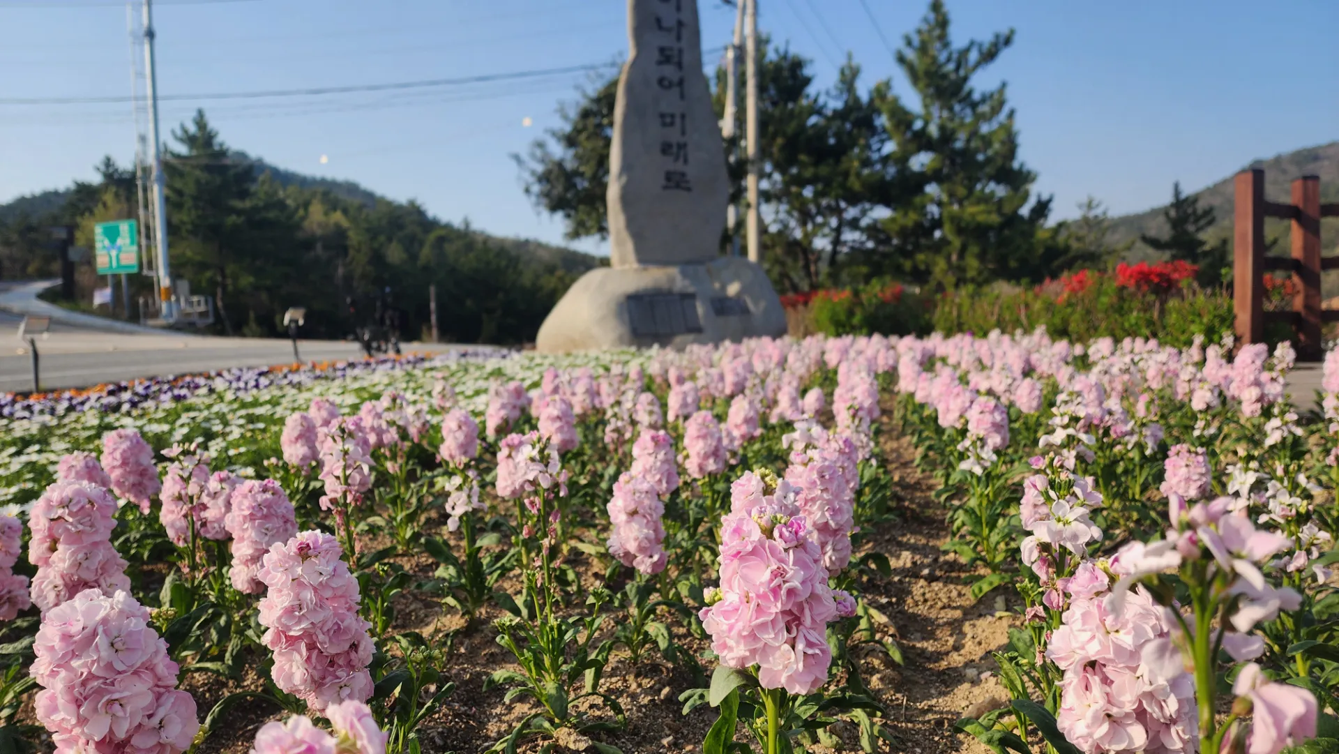남도 자전거 여행 | 땅끝마을, 보길도, 세연정 사진 27