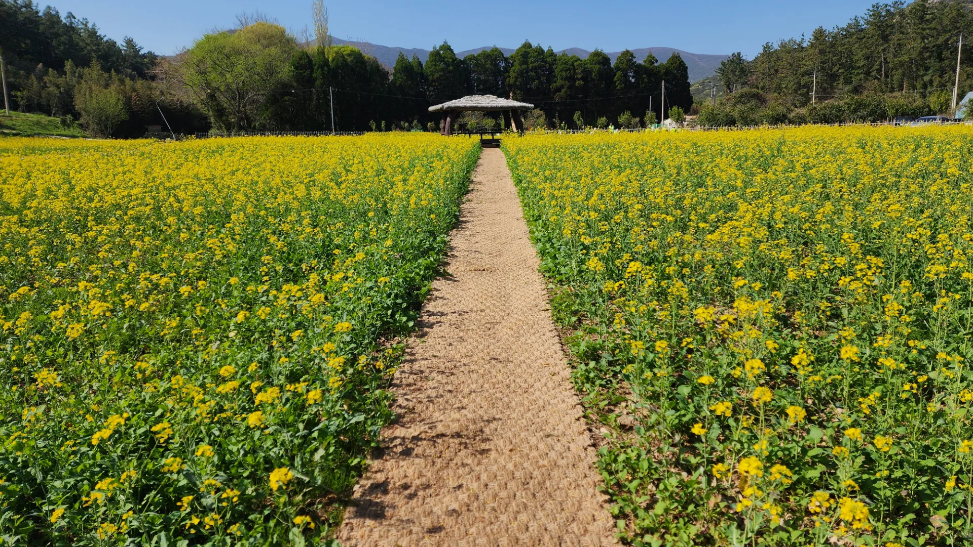 남도 자전거 여행 | 땅끝마을, 보길도, 세연정 사진 45