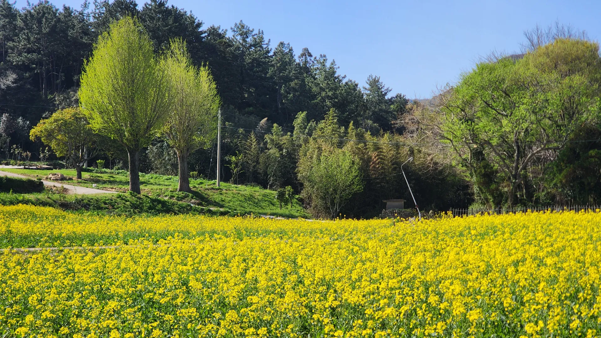 남도 자전거 여행 | 땅끝마을, 보길도, 세연정 사진 46