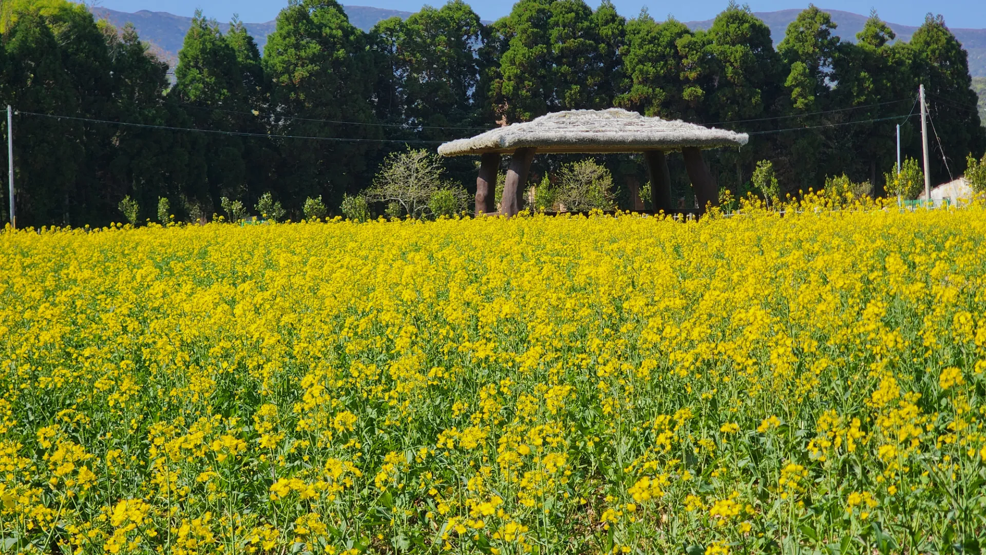 남도 자전거 여행 | 땅끝마을, 보길도, 세연정 사진 47