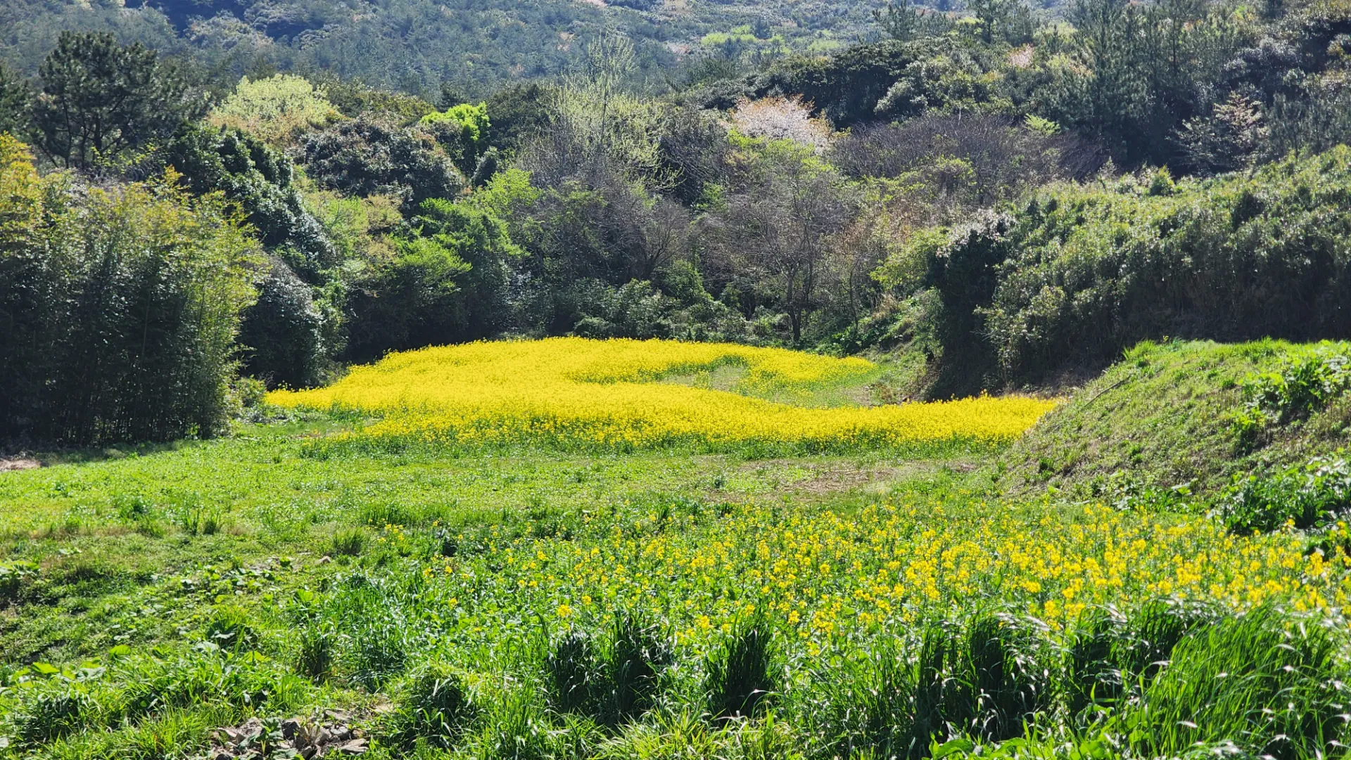 남도 자전거 여행 | 땅끝마을, 보길도, 세연정 사진 66