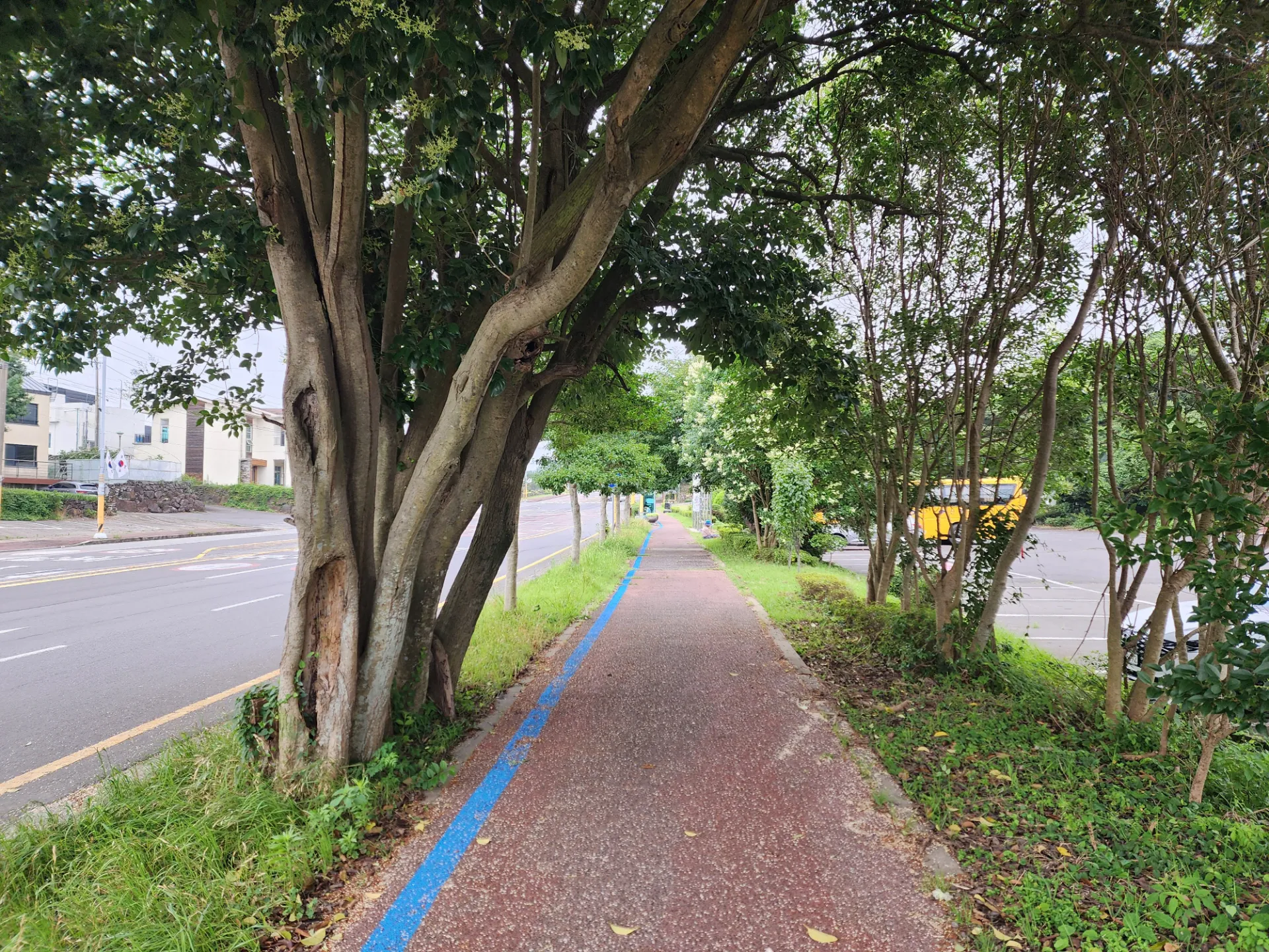 제주도 일주 3일 라이딩 사진 51