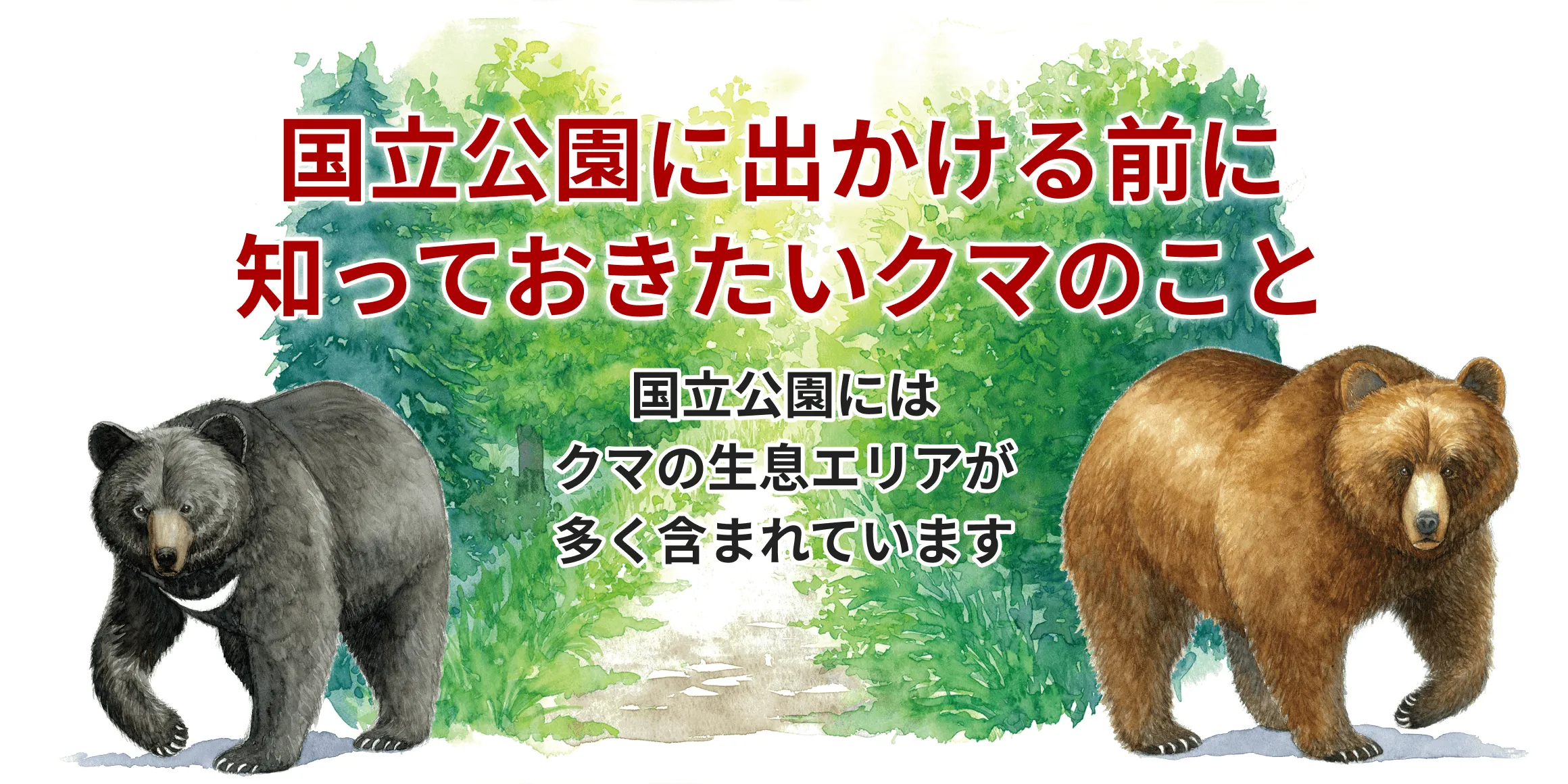 일본 자전거 여행 야생동물 대처법|곰·멧돼지·사슴을 만났을 때