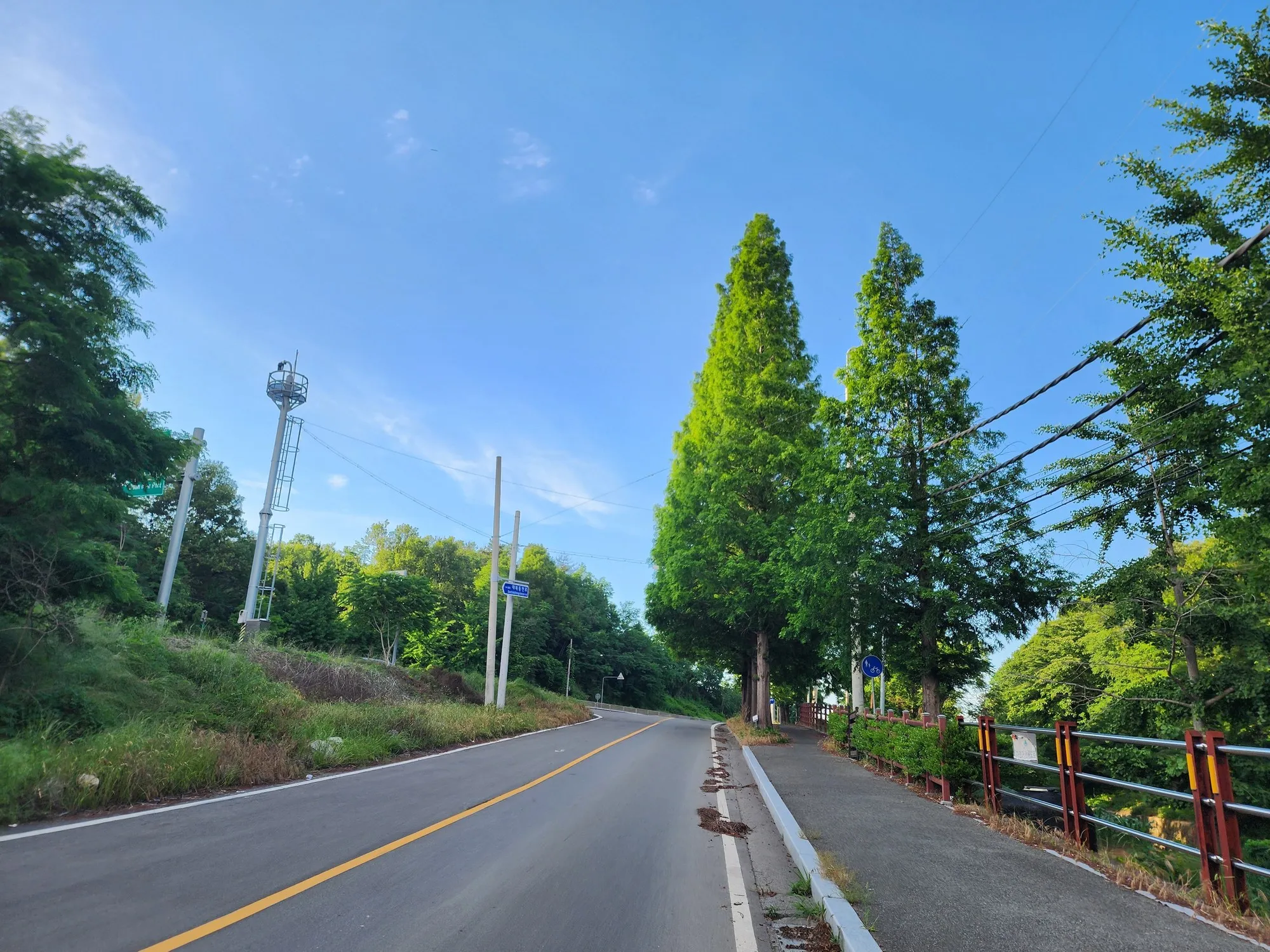동부산 근교 라이딩 | 간절곶, 십리대숲 사진 10