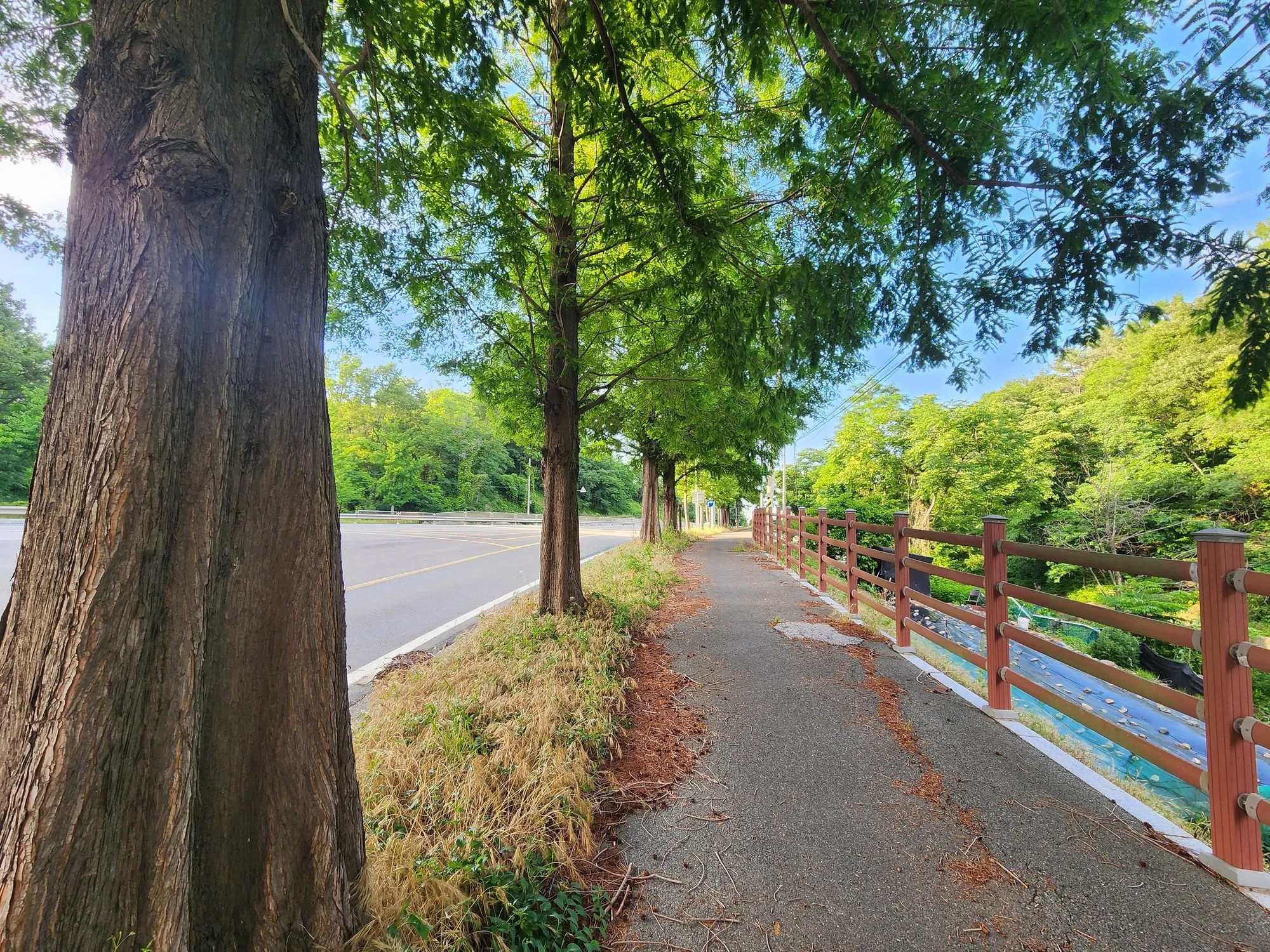 동부산 근교 라이딩 | 간절곶, 십리대숲 사진 11