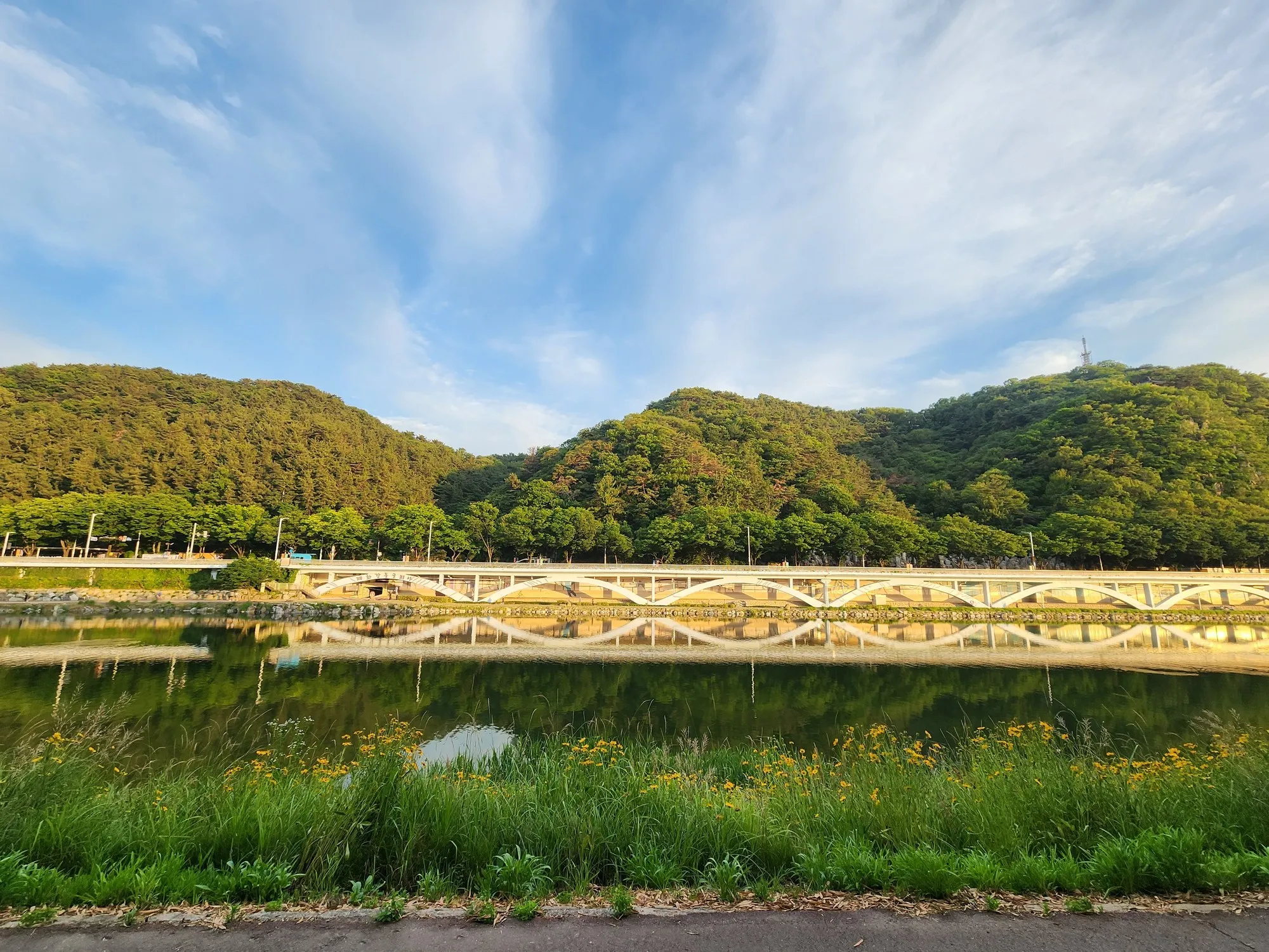 동부산 근교 라이딩 | 간절곶, 십리대숲 사진 16