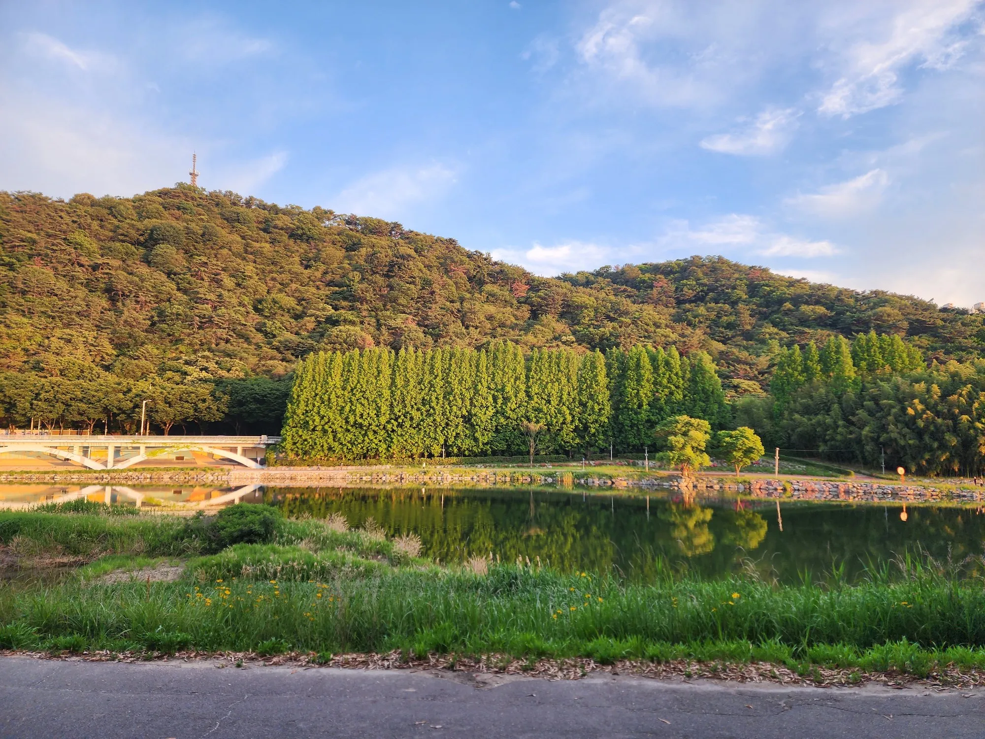 동부산 근교 라이딩 | 간절곶, 십리대숲 사진 24