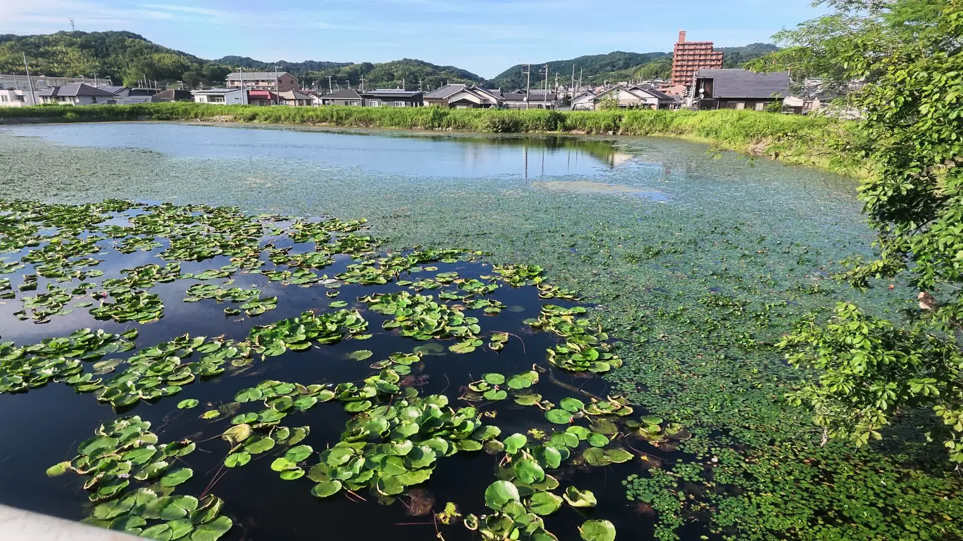 마쓰야마에서 이마바리까지 | 세토우치 자전거 여행 1부 사진 74